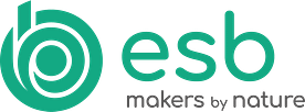 ESB logo