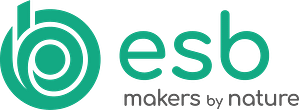 ESB logo